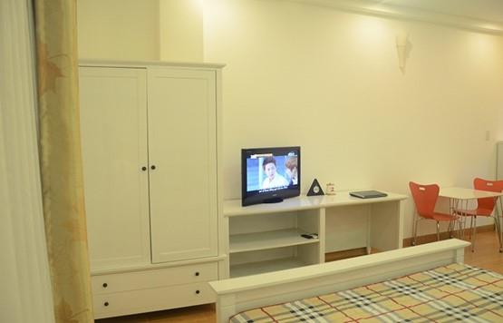 serviced apartment for rent in district 1 D199222 (3)